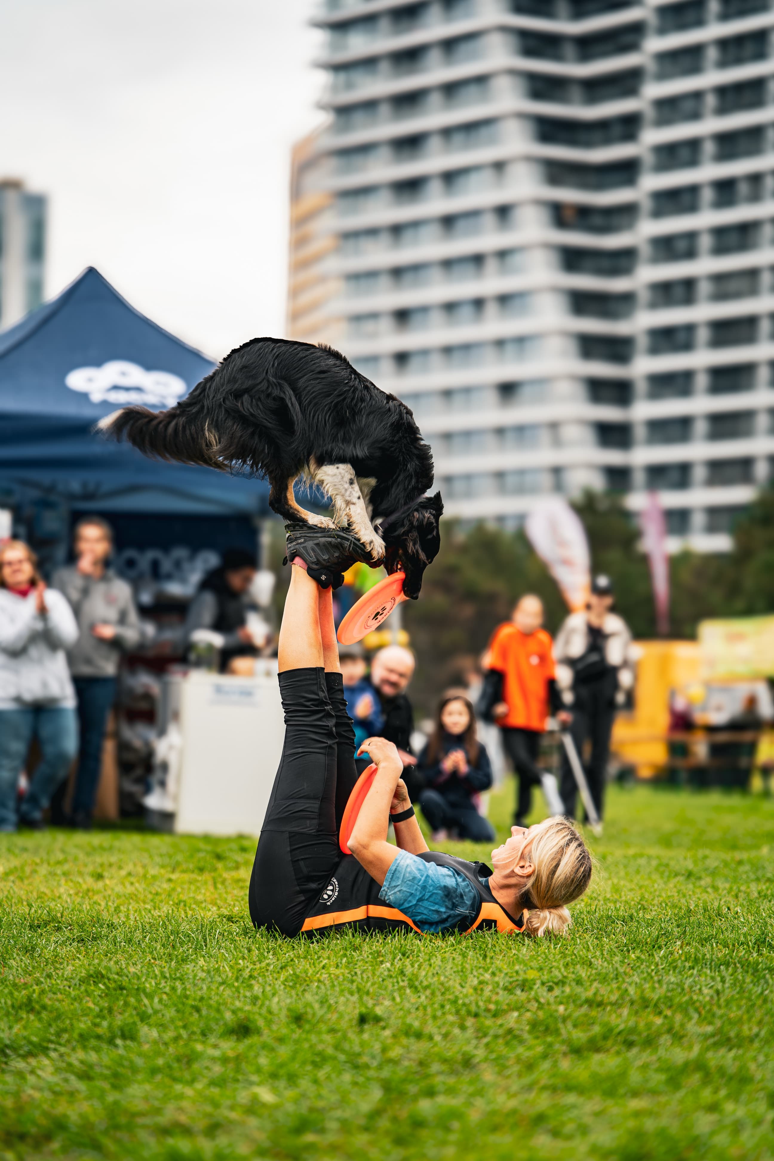 Focení mazlíčků – psí agility na akci v Praze